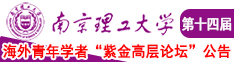 尻嫩笔网南京理工大学第十四届海外青年学者紫金论坛诚邀海内外英才！